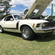 1970 Mustang Boss 302